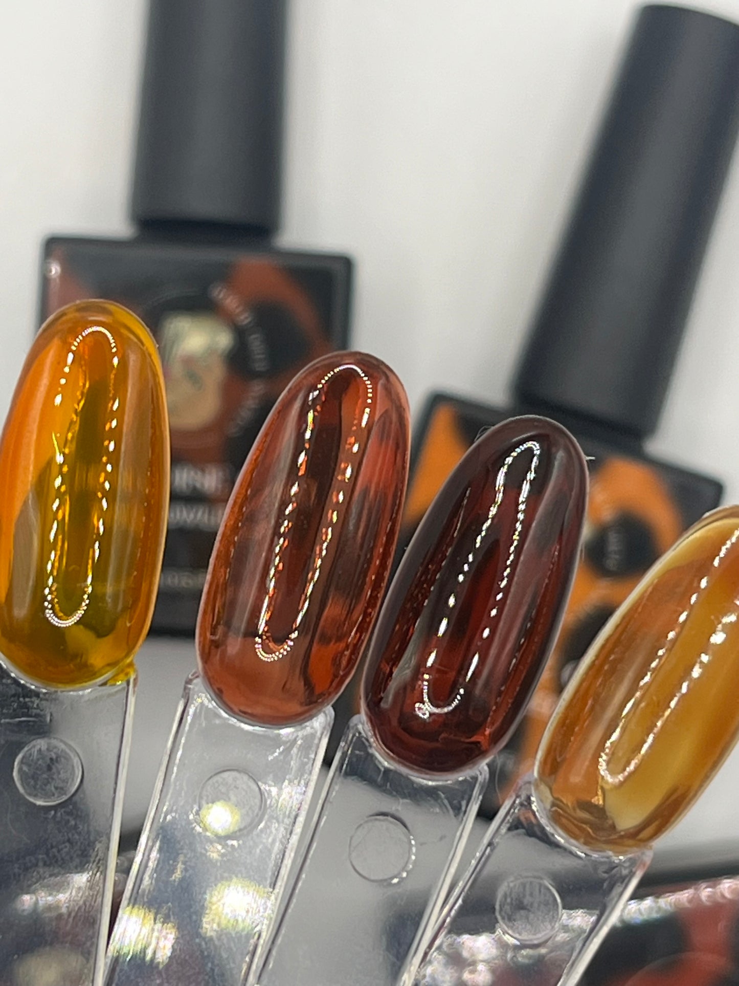 Tortoise gel collection